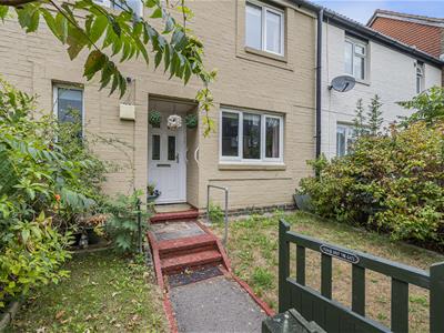 Picture 19